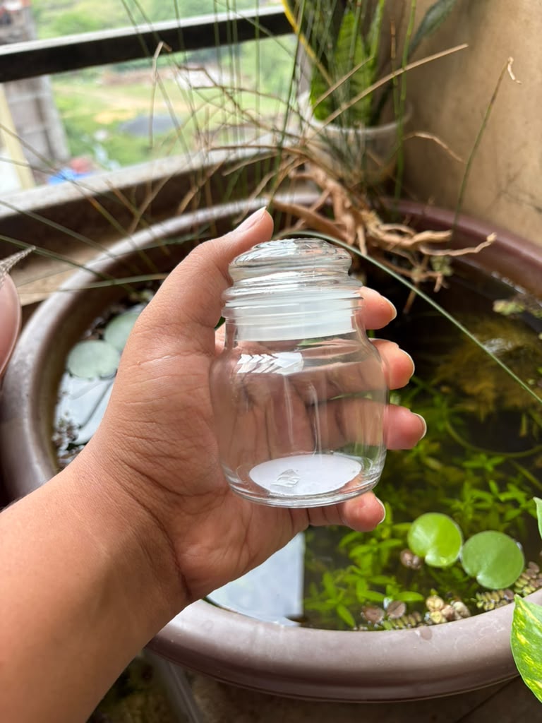 Terrarium jar