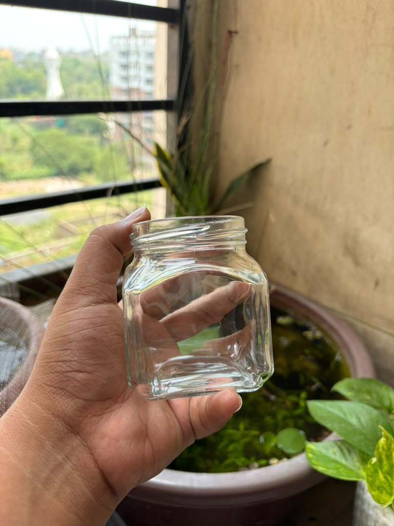 Terrarium jar (without cap)