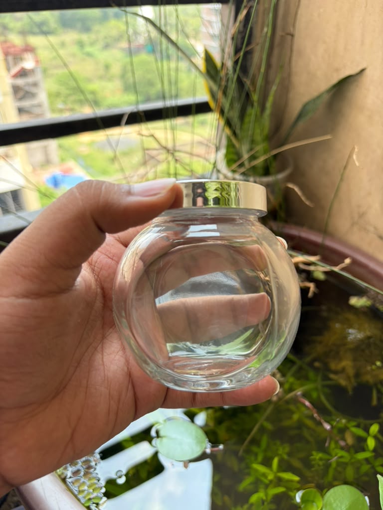 Terrarium jar (with cap)