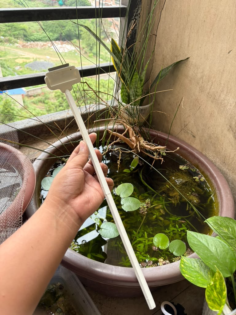 3D printed algae scrapper