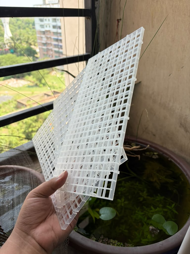 egg tray 30x15cm